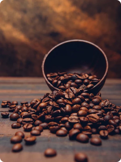 Our Love for Great Coffee